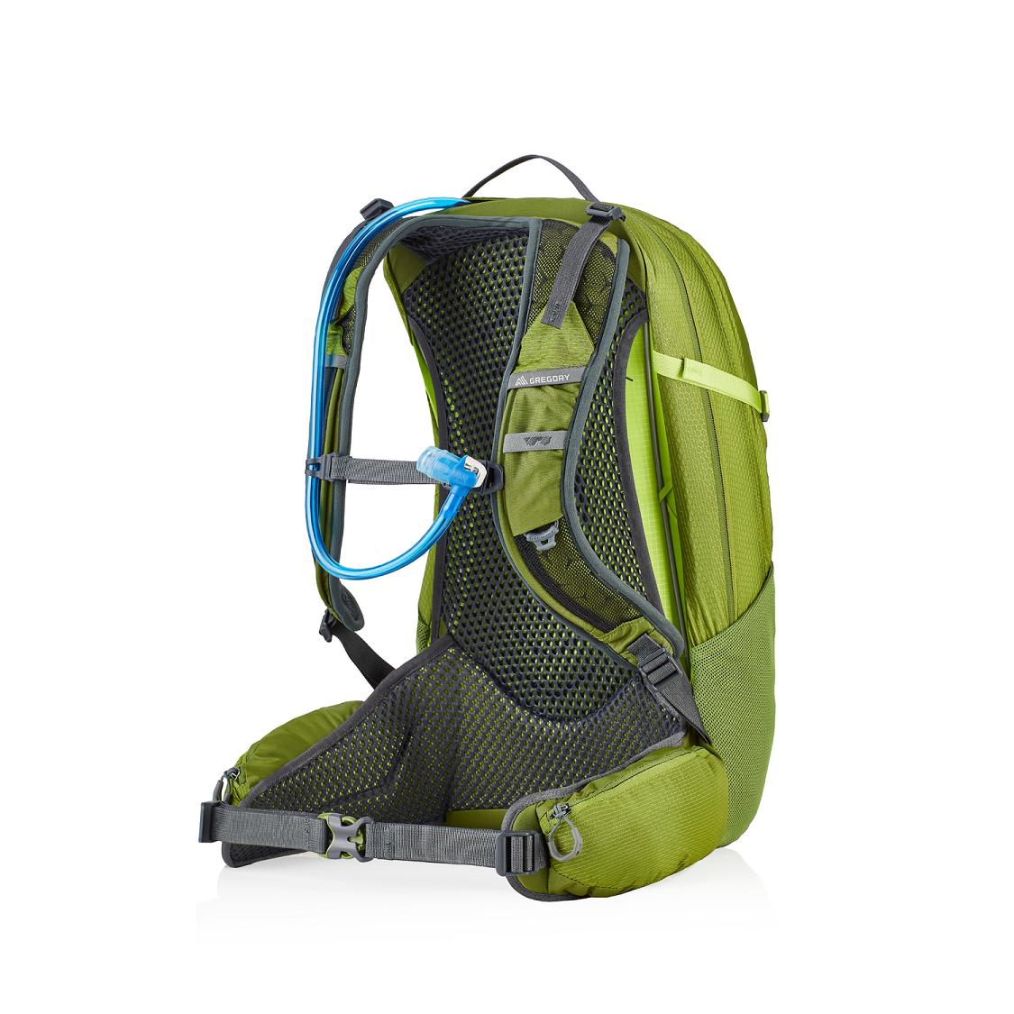 Men Gregory Citro 24 H2O Hiking Backpack Green Sale QFDR93450